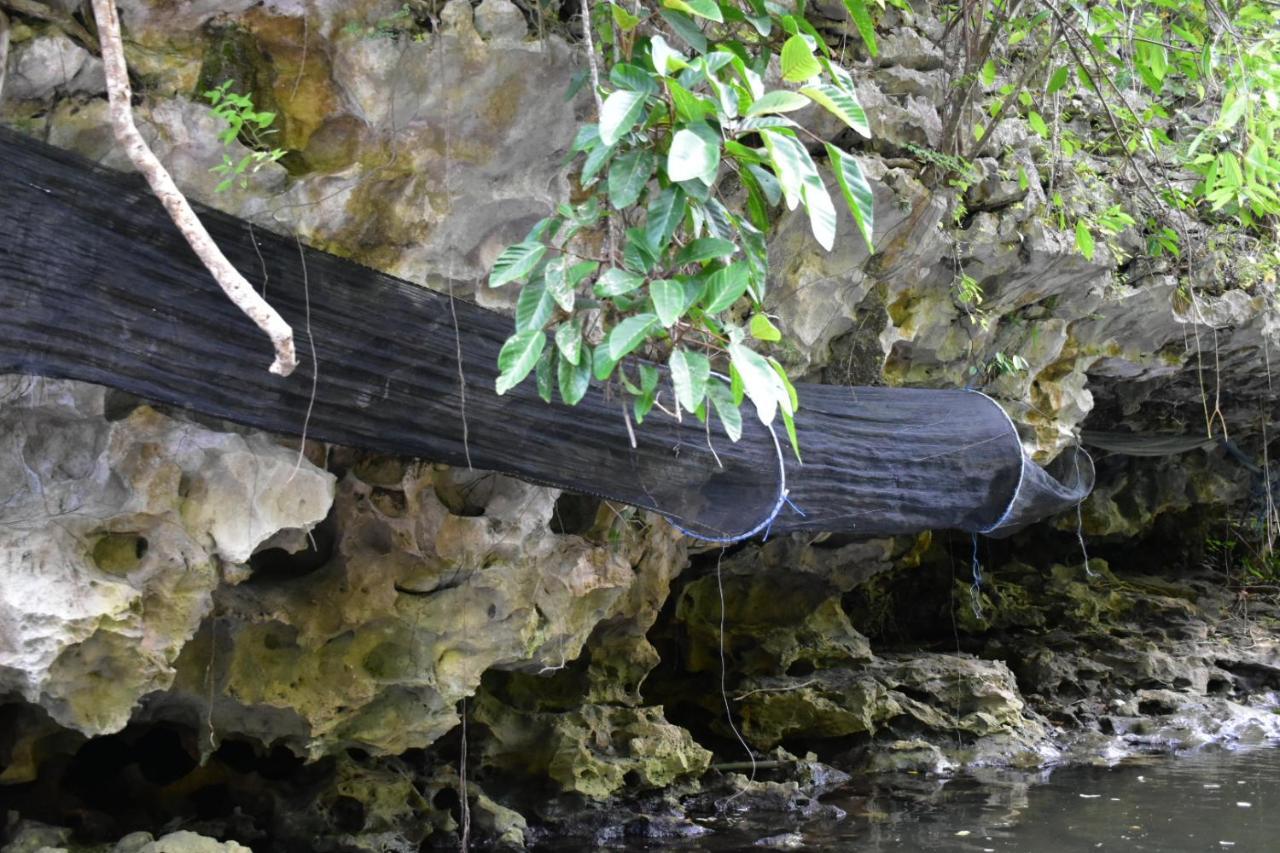 Kasijala Kampoeng Karst Rammang Rammang 게스트하우스 외부 사진