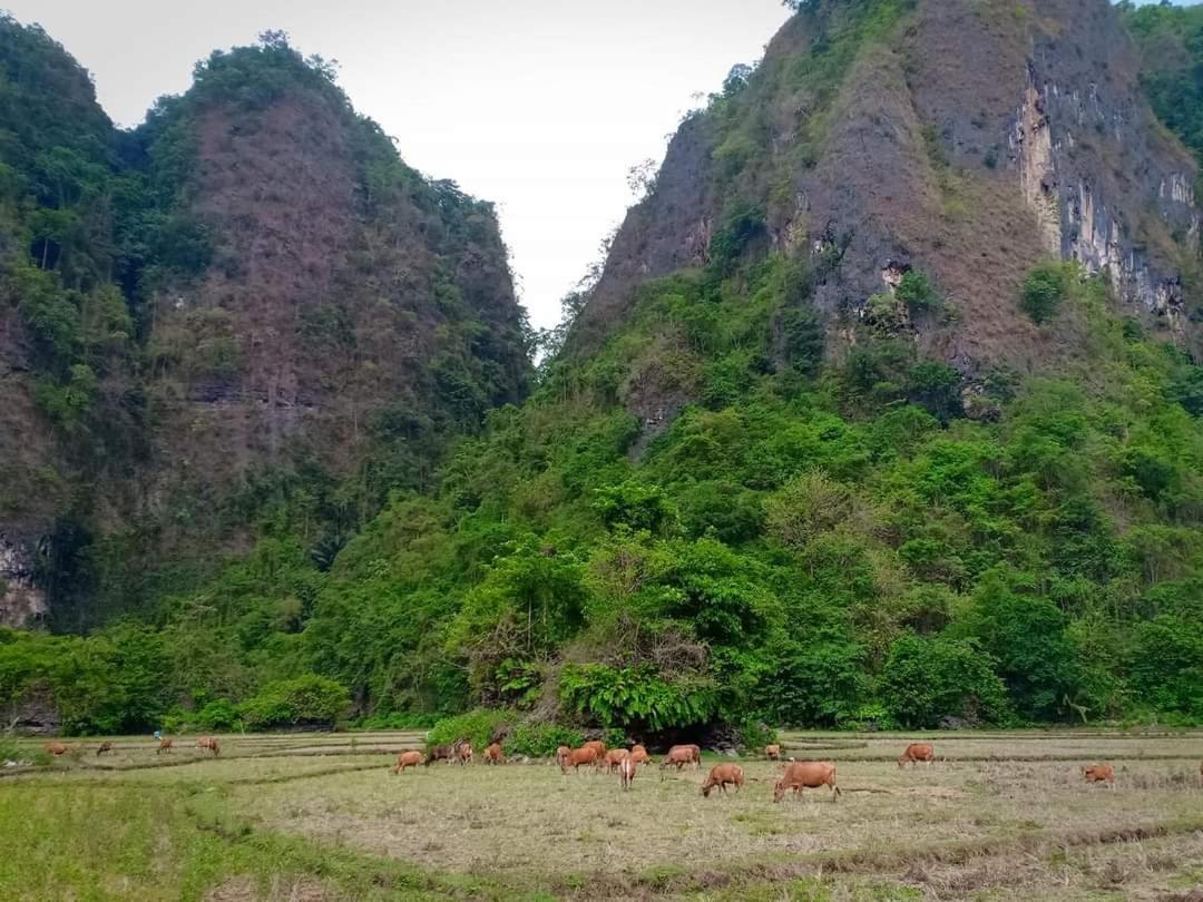 Kasijala Kampoeng Karst Rammang Rammang 게스트하우스 외부 사진