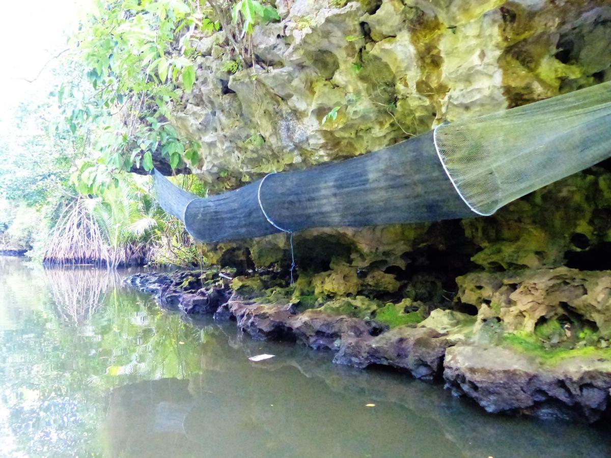 Kasijala Kampoeng Karst Rammang Rammang 게스트하우스 외부 사진