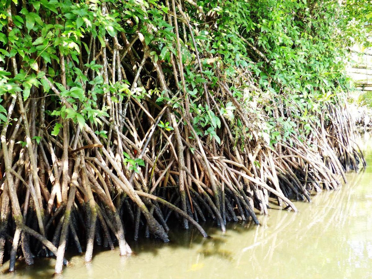 Kasijala Kampoeng Karst Rammang Rammang 게스트하우스 외부 사진