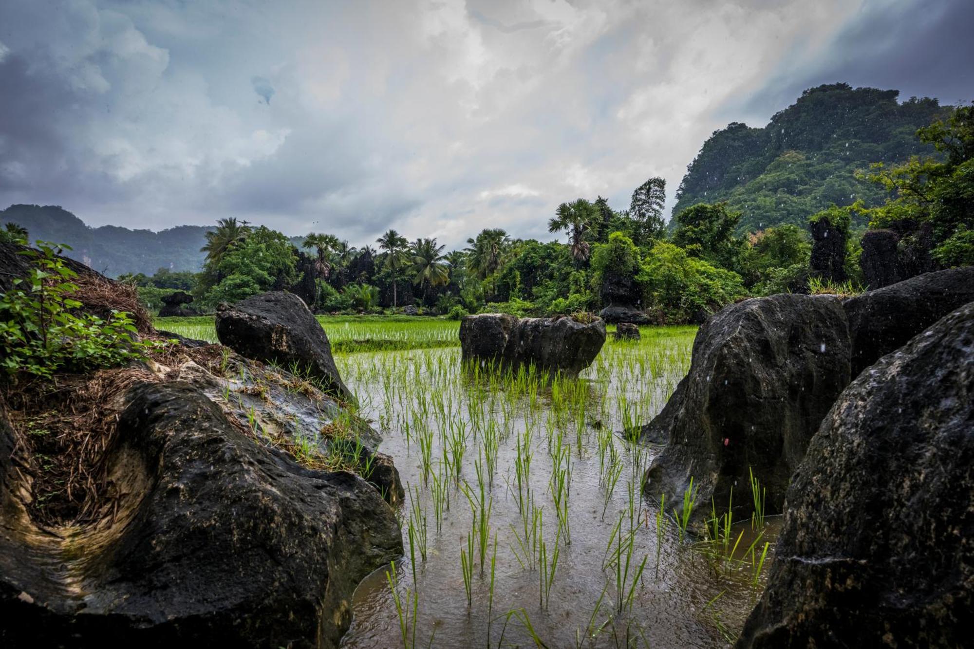 Kasijala Kampoeng Karst Rammang Rammang 게스트하우스 외부 사진