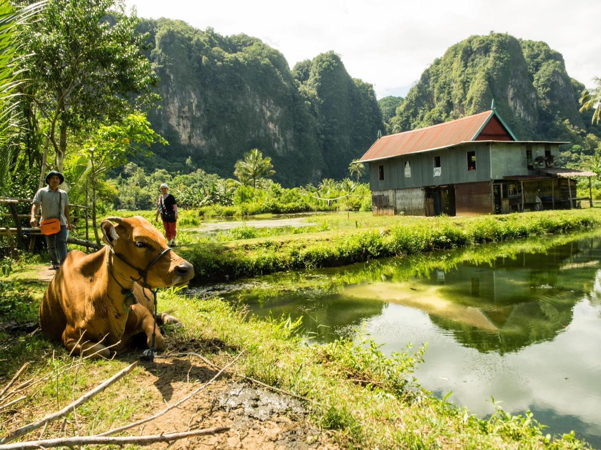 Kasijala Kampoeng Karst Rammang Rammang 게스트하우스 외부 사진