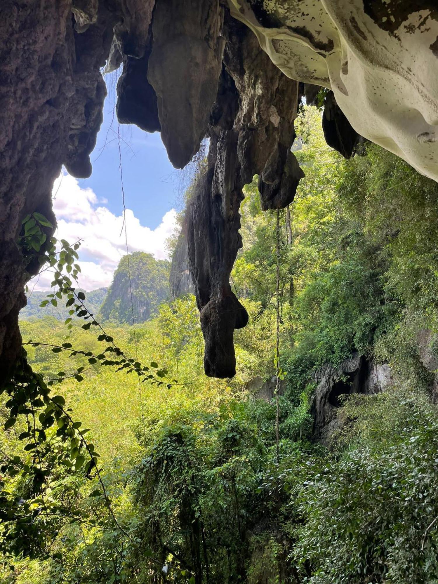 Kasijala Kampoeng Karst Rammang Rammang 게스트하우스 외부 사진